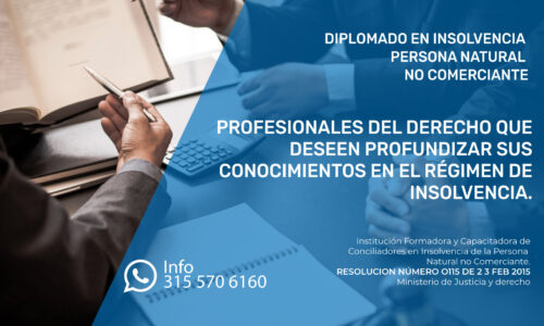 Diplomado en insolvencia persona natural no comerciante